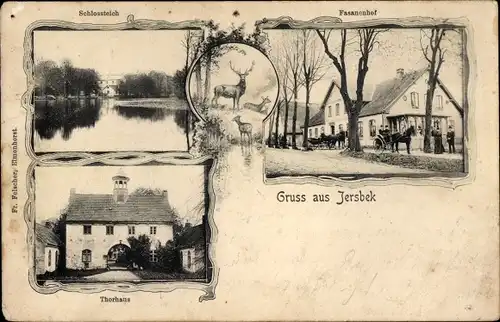 Ak Jersbek in Schleswig Holstein, Schlossteich, Fasanenhof, Torhaus