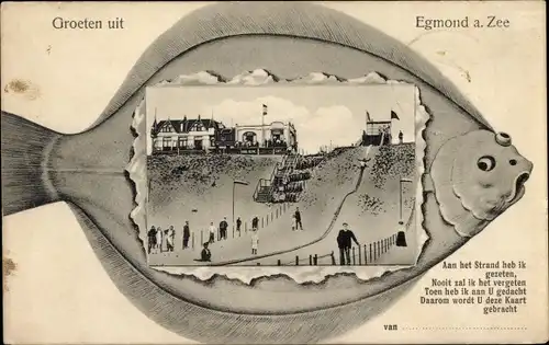 Passepartout Ak Egmond aan Zee Nordholland Niederlande, Promenade, Fisch