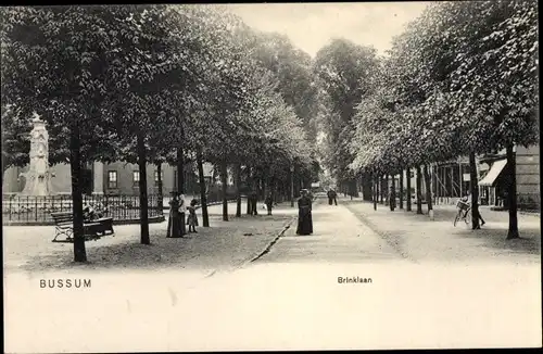 Ak Bussum Nordholland Niederlande, Brinklaan