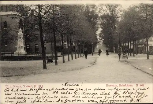 Ak Bussum Nordholland Niederlande, Brinklaan