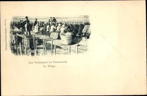 Ak Marne, Ernten in der Champagne, Sortieren