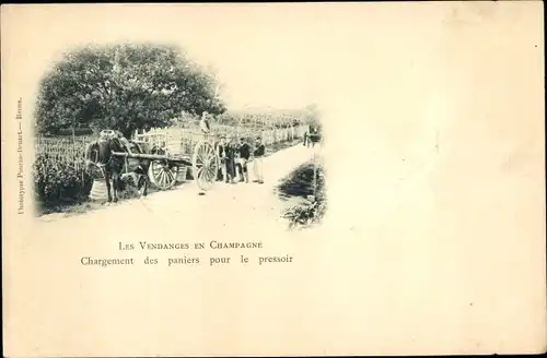 Ak Marne, Ernte in der Champagne, Beladen der Körbe für die Presse