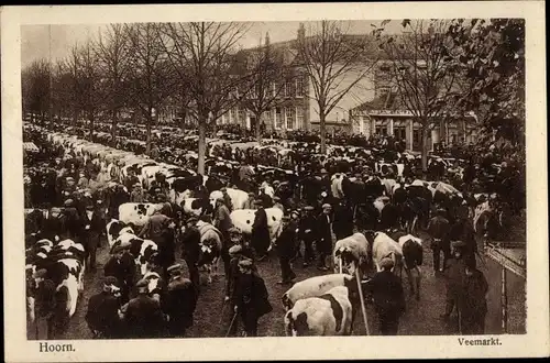 Ak Hoorn Nordholland Niederlande, Veemarkt, Rinder