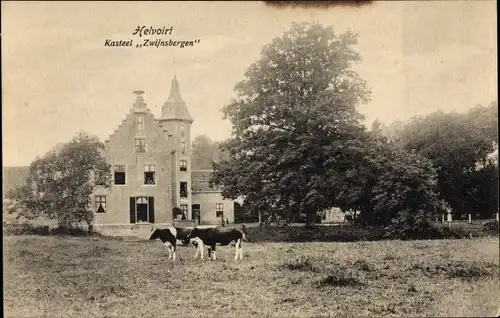 Ak Helvoirt Nordbrabant Niederlande, Kasteel Zwijnsbergen