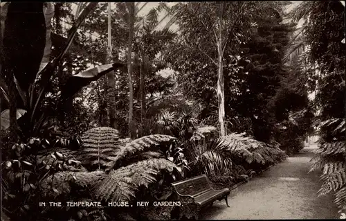 Ak London City England