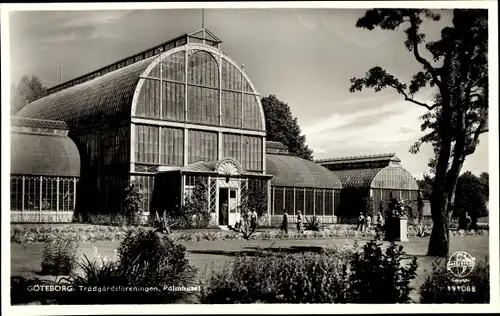Ak Göteborg Schweden, Trädgärdsföreningen, Palmhuset
