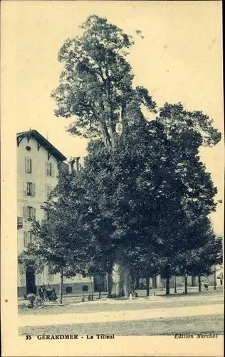 Ak Gérardmer Lorraine Vosges, Le Tilleul