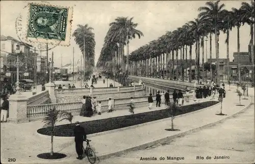 Ak Rio de Janeiro Brasilien, Avenida do Mangue