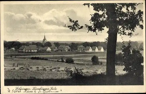 Ak Bispingen in der Lüneburger Heide, Ort und Umgebung