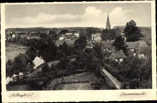 Ak Bad Fallingbostel Lüneburger Heide, Gesamtansicht