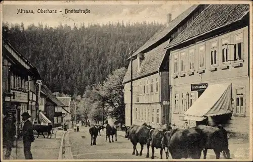 Ak Altenau Clausthal Zellerfeld im Oberharz, Breitestraße, Kühe