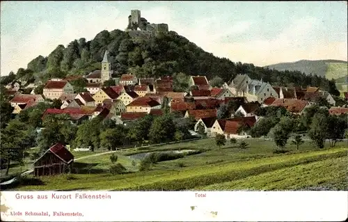Ak Falkenstein in der Oberpfalz, Burg Falkenstein, Totalansicht
