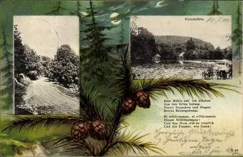 Mondschein Ak Eldagsen Springe am Deister Niedersachsen, Holzmühle, Tannenzapfen