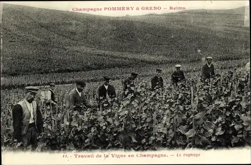 Ak Reims-Marne, Champagne Pommery & Greno, Weinrebenbearbeitung, Beschneiden