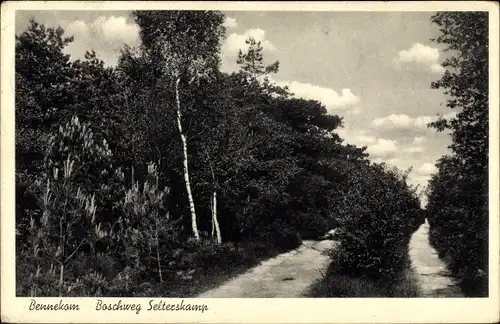 Ak Bennekom Gelderland, Boschweg Selterskamp