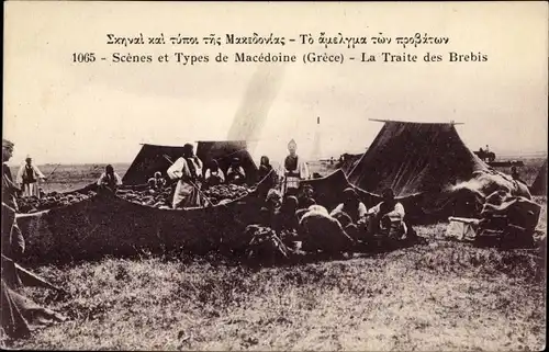 Ak Mazedonien, Scenes et Types, La Traite des Brebis, Zeltlager