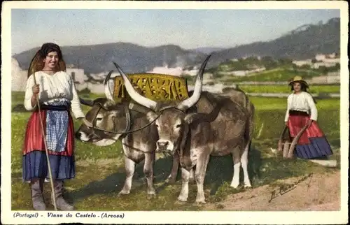 Künstler Ak Viana do Castelo Portugal, Areosa, Lavrando