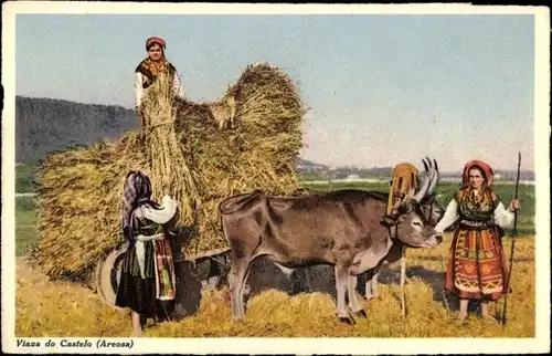 Ak Viana do Castelo Portugal, Areosa, Carregando trigo