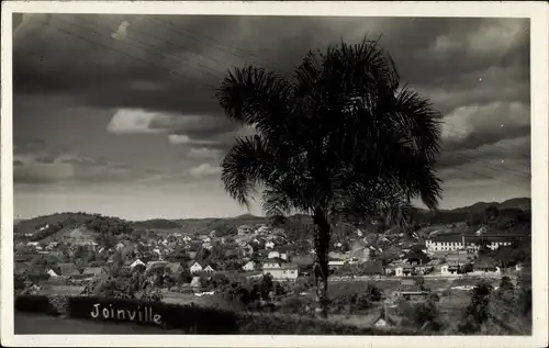 Ak Joinville Brasilien, Blick auf Ort, Palme