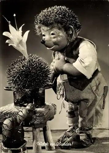 Ak Mecki der Igel, Welch ein Wunder, Blühender Kaktus