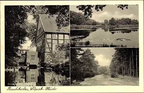 Ak Buchholz in der Nordheide, Waldweg, Mühlenteich, Seppensener Mühle