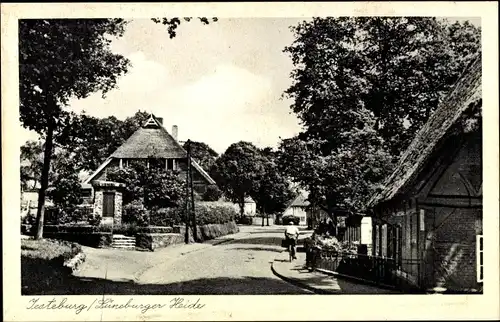 Ak Jesteburg in Niedersachsen, Straßenpartie