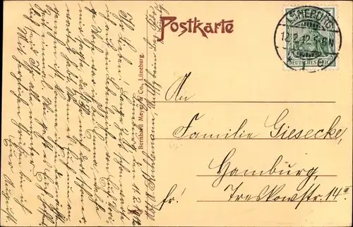 Ak Lüneburg in Niedersachsen, St. Nicolaikirche, Michaeliskirche, Johanniskirche, Neuer Wasserturm