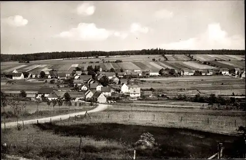 Ak Silberborn Holzminden im Solling, Ortsansicht