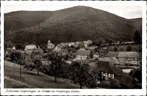 Ak Ziegenhagen Witzenhausen in Hessen, Ortsansicht, Kaufunger Wald