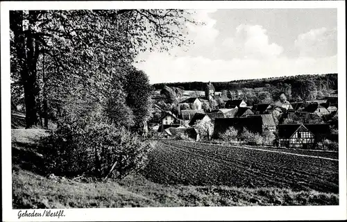 Ak Gehrden Brakel in Westfalen, Panorama