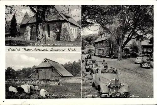 Ak Undeloh Lüneburger Heide, Schafstall, St. Magdalenenkapelle, Dorfeiche, Witte's Gasthaus, Autos