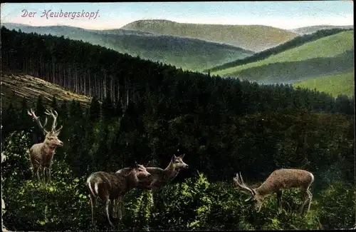Ak Hirsche am Waldrand, Blick zum Heubergskopf, Berge