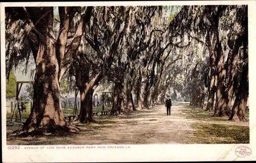 Ak New Orleans Louisiana USA, Avenue of Live Oaks Audubon Park