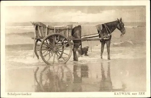 Ak Katwijk aan Zee Südholland Niederlande, Schelpenvisscher