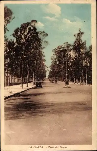 Ak La Plata Argentinien, Paseo del Bosque