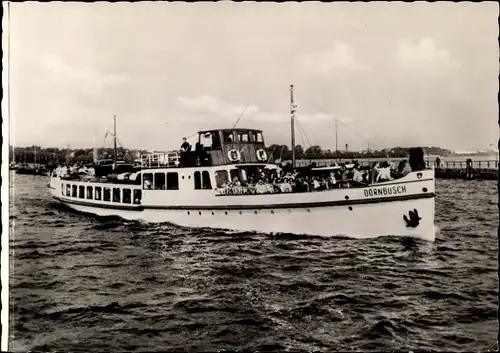 Ak MS Dornbusch auf Fahrt, Weiße Flotte Stralsund