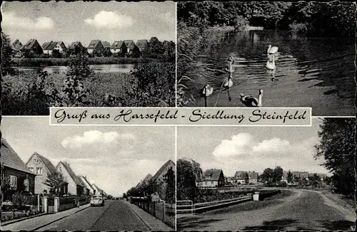 Ak Harsefeld im Kreis Stade, Siedlung Steinfeld, Ortsansicht, Straßenpartie