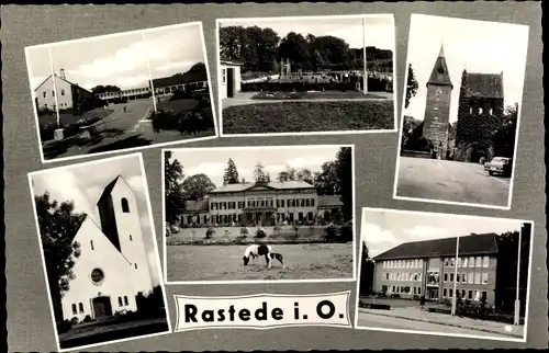 Ak Rastede in Oldenburg, Kirche, Freibad, Schloss, Teilansichten, Kühe