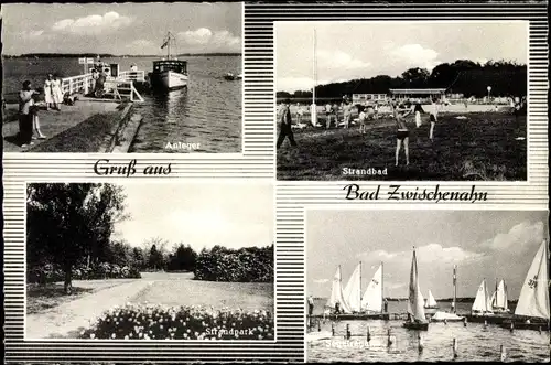 Ak Bad Zwischenahn in Oldenburg, Anleger, Strandbad, Segelregatta, Strandpark