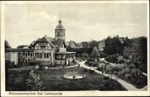 Ak Bad Liebenwerda in Brandenburg, Kreiseisenmoorbad, Park, Springbrunnen