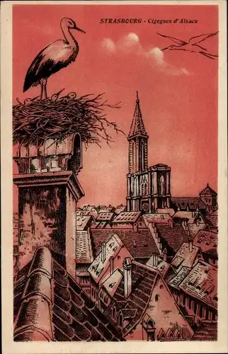 Ak Straßburg Straßburg Elsass Bas-Rhin, Störche des Elsass, Storch