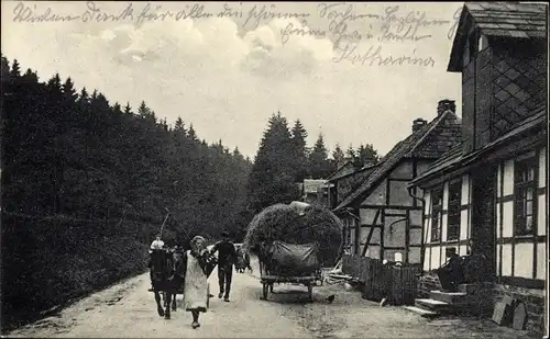 Ak Neuhaus im Solling Holzminden Niedersachsen, Wohnhäuser, Heuernte, Bauern