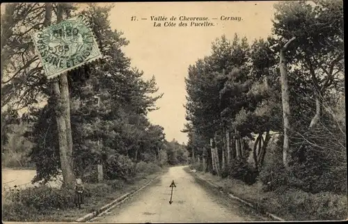 Ak Cernay la Ville Yvelines, Vallee de Chevreuse, La Cote des Pucelles