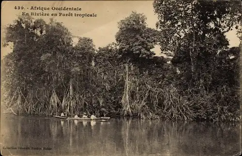 Ak Senegal, Afrique Occidentale, En Riviere en Foret tropicale