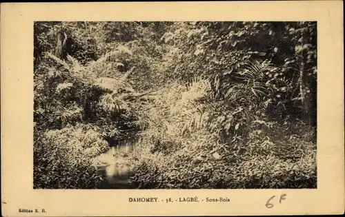 Ak Lagbé Benin Dahomey, Sous-Bois