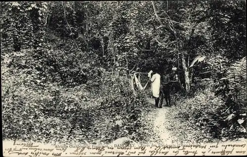 Ak Dahomey Benin, Foret des Elephants