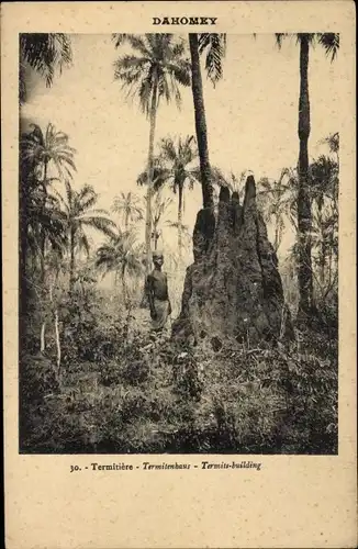 Ak Dahomey Benin, Termitiere