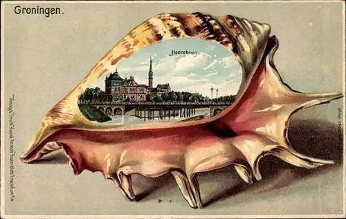 Muschel Litho Groningen Niederlande, Heerebrug