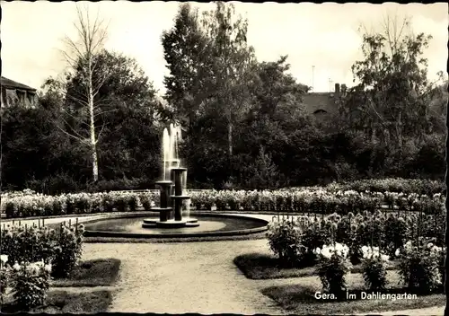 Ak Gera in Thüringen, Im Dahliengarten, Brunnen