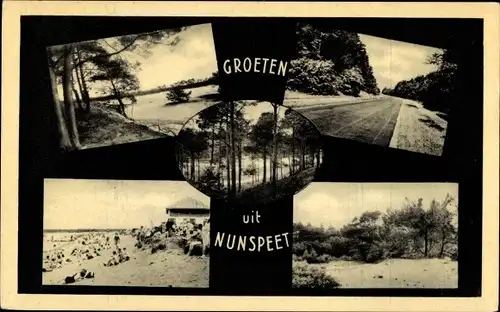 Ak Nunspeet Gelderland, Strandpartie, Landschaften, Straßenpartie, Wasserpartie